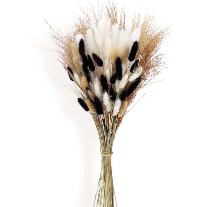 Decorative Dried Bunny Tail Grass Bouquet with Contrasting Textures for Home Decoration, 17.5 Inches