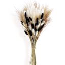 Beige Decorative Dried Bunny Tail Grass Bouquet with Contrasting Textures for Home Decoration, 17.5 Inches