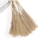 Beige Decorative Dried Bunny Tail Grass Bouquet with Contrasting Textures for Home Decoration, 17.5 Inches