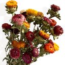  Vibrant Artificial Strawflower Bouquet for Home Decor