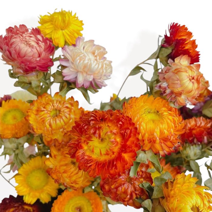 Vibrant Artificial Strawflower Bouquet for Home Decor