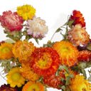 Yellow Vibrant Artificial Strawflower Bouquet for Home Decor