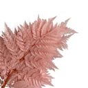  Decorative Dried Fern Leaves for Home Decoration and Floral Arrangements, 13.5 Inches