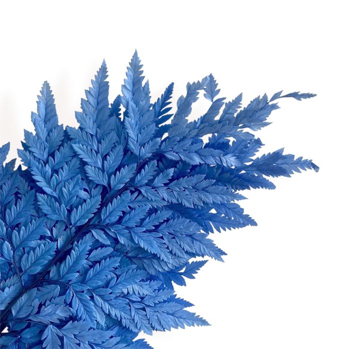 Decorative Dried Fern Leaves for Home Decoration and Floral Arrangements, 13.5 Inches