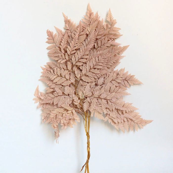 Decorative Dried Fern Leaves for Home Decoration and Floral Arrangements, 13.5 Inches