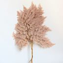 Brown Decorative Dried Fern Leaves for Home Decoration and Floral Arrangements, 13.5 Inches