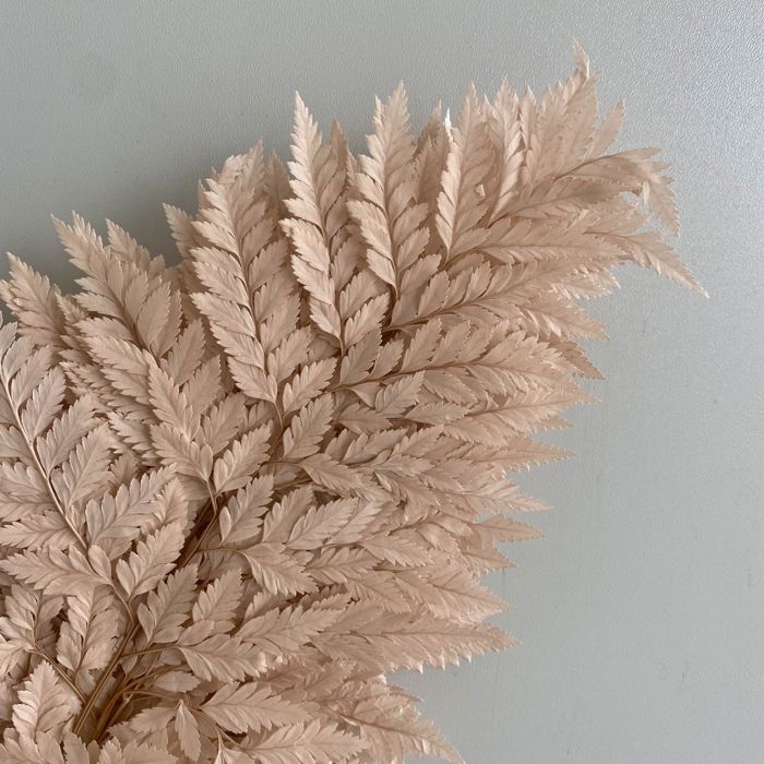 Decorative Dried Fern Leaves for Home Decoration and Floral Arrangements, 13.5 Inches