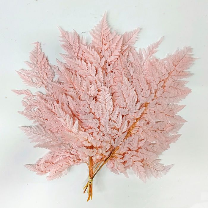 Decorative Dried Fern Leaves for Home Decoration and Floral Arrangements, 13.5 Inches