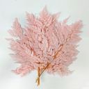 Pink Decorative Dried Fern Leaves for Home Decoration and Floral Arrangements, 13.5 Inches