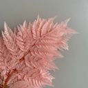 Pink Decorative Dried Fern Leaves for Home Decoration and Floral Arrangements, 13.5 Inches