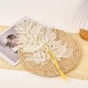 White Decorative Dried Fern Leaves for Home Decoration and Floral Arrangements, 13.5 Inches