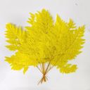 Yellow Decorative Dried Fern Leaves for Home Decoration and Floral Arrangements, 13.5 Inches