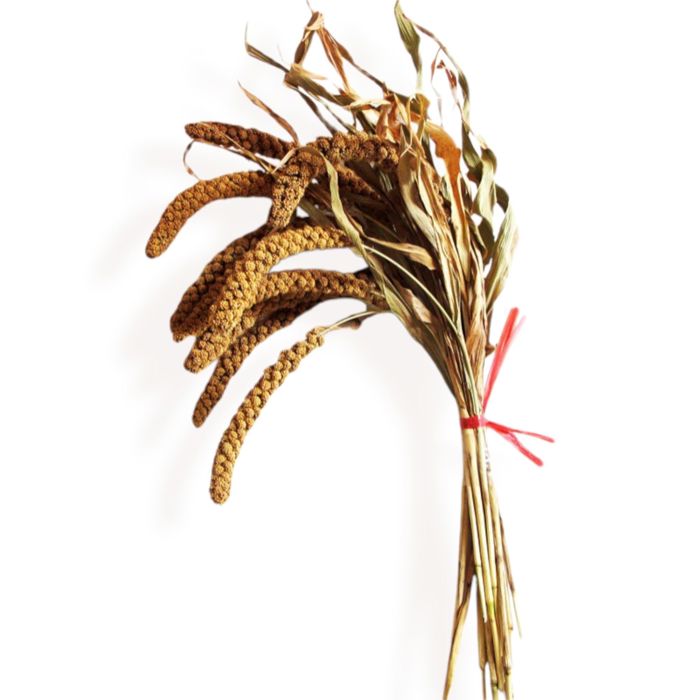 Decorative Dried Bouquet with Pinecone and Natural Grasses for Home Decoration, 17.5 Inches