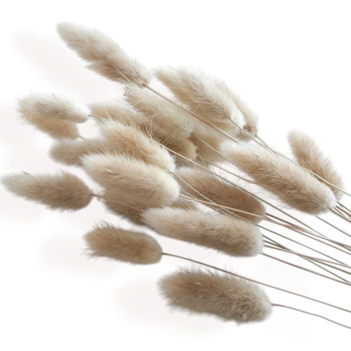 Decorative Dried Grass and Pampas Bouquet for Home Decoration and Centerpieces, 17.5 Inches