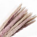 Beige Decorative Dried Grass and Pampas Bouquet for Home Decoration and Centerpieces, 17.5 Inches