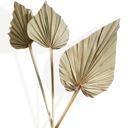 Beige Elegant Artificial Pampas and Eucalyptus Arrangement