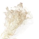 Beige Elegant Artificial Pampas and Eucalyptus Arrangement