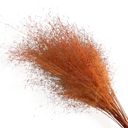 Orange Decorative Dried Wispy Grass Stems for Home Decoration and Floral Arrangements, 17 Inches