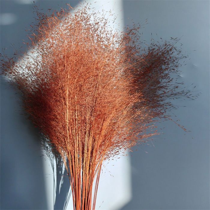 Decorative Dried Wispy Grass Stems for Home Decoration and Floral Arrangements, 17 Inches