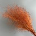 Orange Decorative Dried Wispy Grass Stems for Home Decoration and Floral Arrangements, 17 Inches