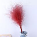 Red Decorative Dried Wispy Grass Stems for Home Decoration and Floral Arrangements, 17 Inches