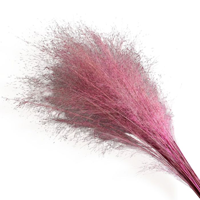 Decorative Dried Wispy Grass Stems for Home Decoration and Floral Arrangements, 17 Inches