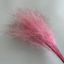 Pink Decorative Dried Wispy Grass Stems for Home Decoration and Floral Arrangements, 17 Inches