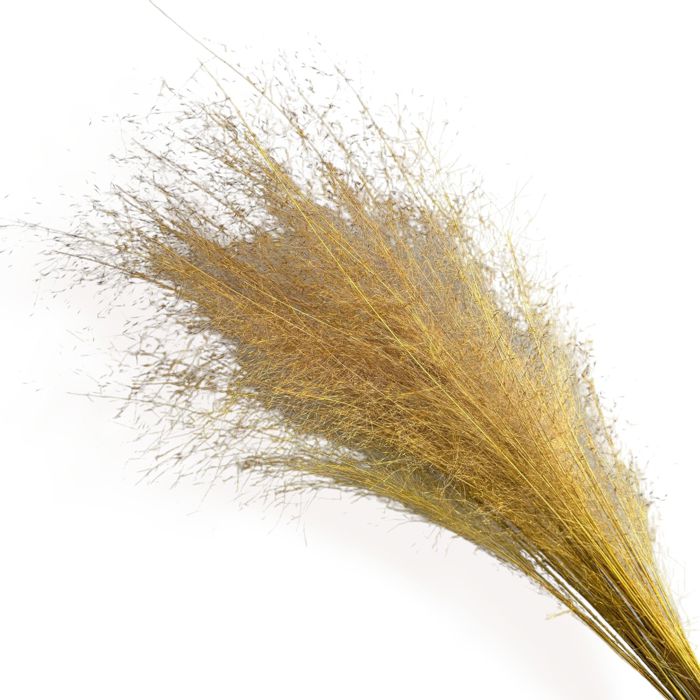 Decorative Dried Wispy Grass Stems for Home Decoration and Floral Arrangements, 17 Inches