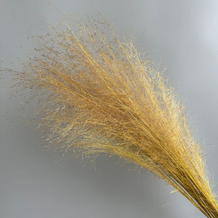 Decorative Dried Wispy Grass Stems for Home Decoration and Floral Arrangements, 17 Inches