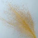 Yellow Decorative Dried Wispy Grass Stems for Home Decoration and Floral Arrangements, 17 Inches