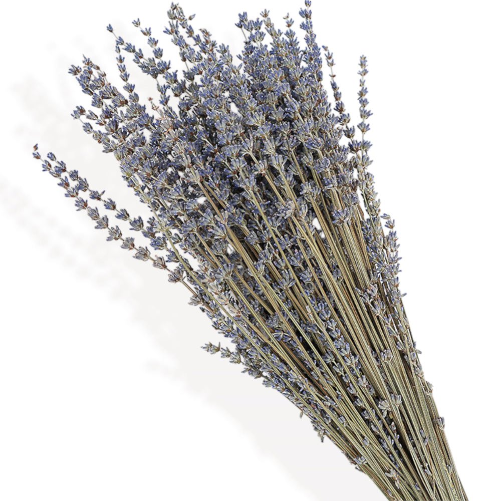 Artificial Eucalyptus and Dried Floral Arrangement