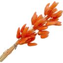 Orange Decorative Mixed Dried Flower Bouquet for Home Decoration and Arrangements, 17.7 Inches