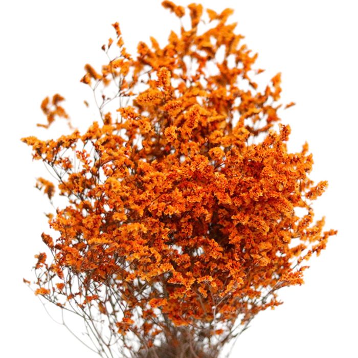 Decorative Mixed Dried Flower Bouquet for Home Decoration and Arrangements, 17.7 Inches