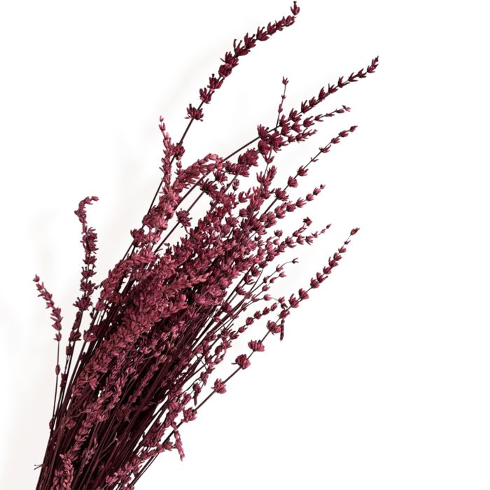 Decorative Dried Greenery Stems for Home Decoration and Floral Arrangements, 17.7 Inches