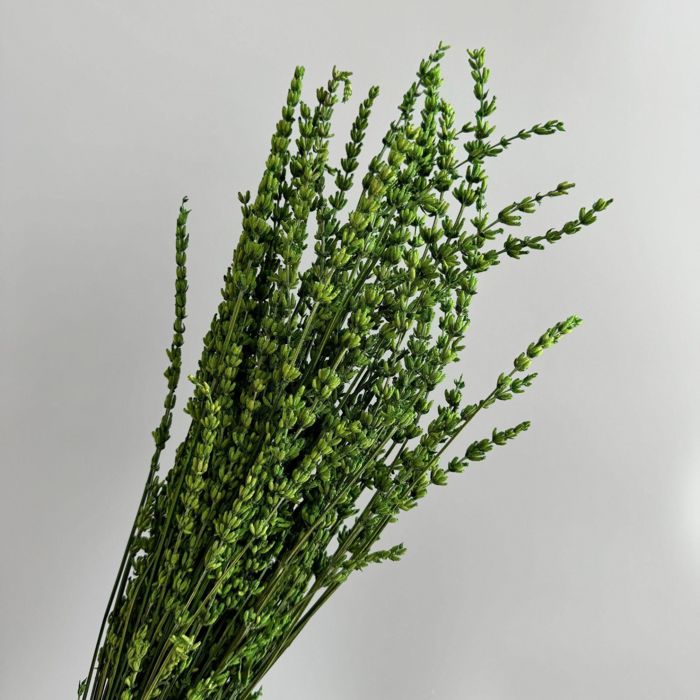 Decorative Dried Greenery Stems for Home Decoration and Floral Arrangements, 17.7 Inches