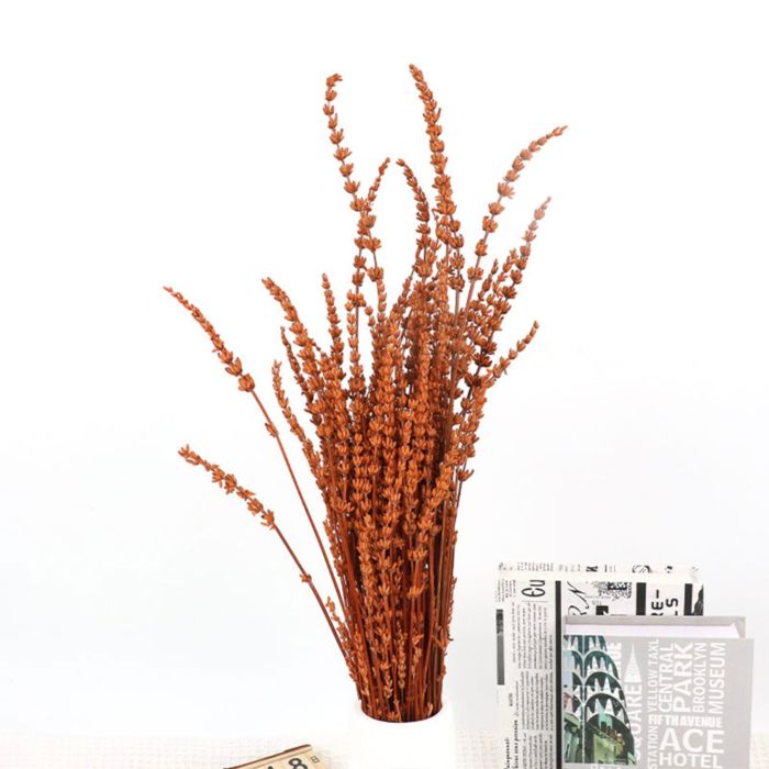 Decorative Dried Greenery Stems for Home Decoration and Floral Arrangements, 17.7 Inches