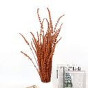 Orange Decorative Dried Greenery Stems for Home Decoration and Floral Arrangements, 17.7 Inches