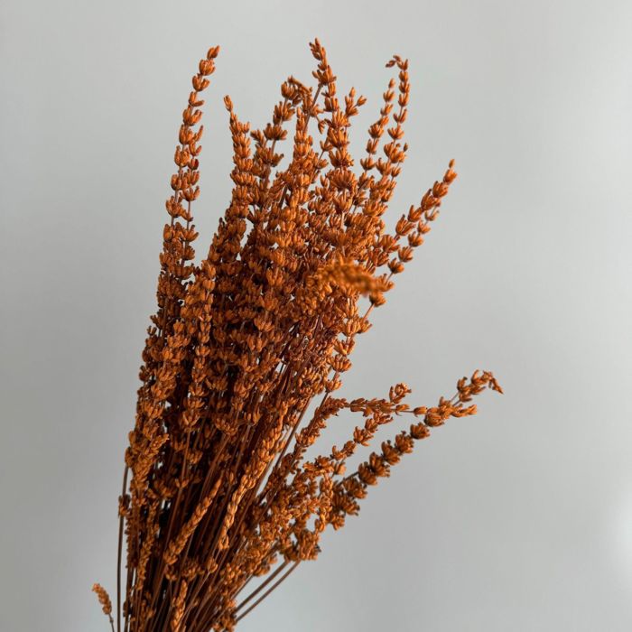 Decorative Dried Greenery Stems for Home Decoration and Floral Arrangements, 17.7 Inches