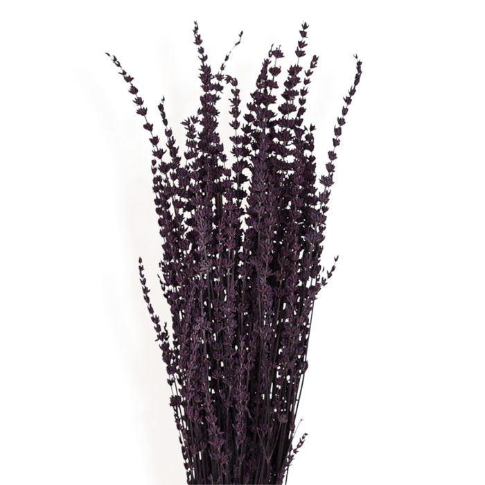 Decorative Dried Greenery Stems for Home Decoration and Floral Arrangements, 17.7 Inches