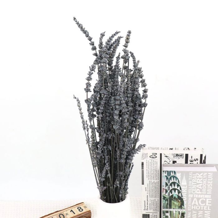 Decorative Dried Greenery Stems for Home Decoration and Floral Arrangements, 17.7 Inches