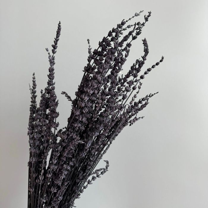 Decorative Dried Greenery Stems for Home Decoration and Floral Arrangements, 17.7 Inches