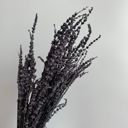 Purple Decorative Dried Greenery Stems for Home Decoration and Floral Arrangements, 17.7 Inches