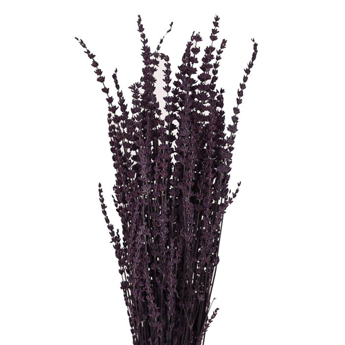 Decorative Dried Greenery Stems for Home Decoration and Floral Arrangements, 17.7 Inches