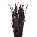 Purple Decorative Dried Greenery Stems for Home Decoration and Floral Arrangements, 17.7 Inches