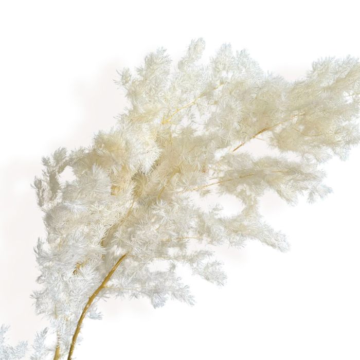 Decorative Dried Fine Leaf Stems for Home Decoration and Floral Arrangements, 17.7 Inches