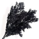 Black Decorative Dried Fine Leaf Stems for Home Decoration and Floral Arrangements, 17.7 Inches