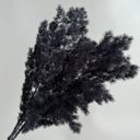 Black Decorative Dried Fine Leaf Stems for Home Decoration and Floral Arrangements, 17.7 Inches