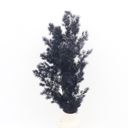 Black Decorative Dried Fine Leaf Stems for Home Decoration and Floral Arrangements, 17.7 Inches