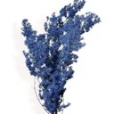 Blue Decorative Dried Fine Leaf Stems for Home Decoration and Floral Arrangements, 17.7 Inches