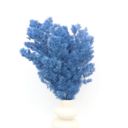 Blue Decorative Dried Fine Leaf Stems for Home Decoration and Floral Arrangements, 17.7 Inches